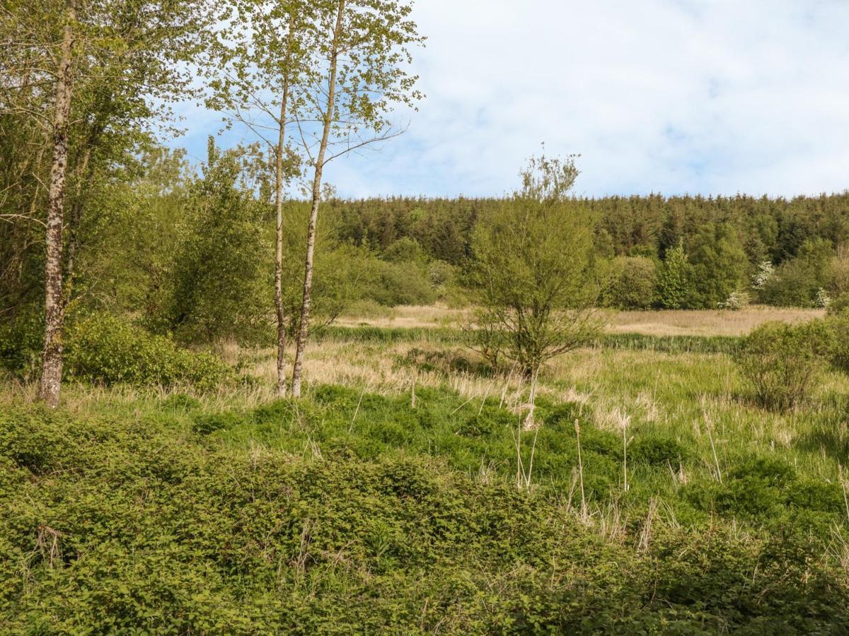 Bwlch Y Gwynt Bach Villa Llangefni Eksteriør bilde